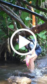 BIB:  <button type="button" onclick="openModal(27808256)" class="btn btn-primary btn-sm float-right" data-toggle="modal" data-target=".modal-high-quality">
                <i class="fa fa-download"></i> Download
                </button>